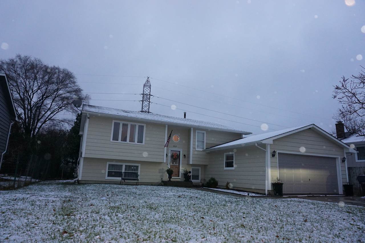 1311 Lizabeth Lane - Photo 1