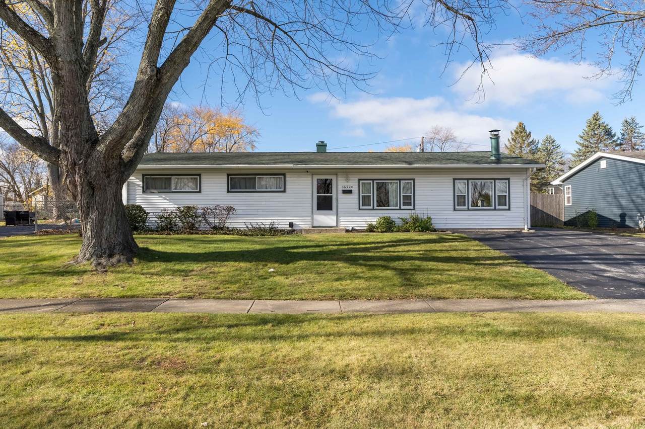 36900 Grandwood Drive - Photo 1