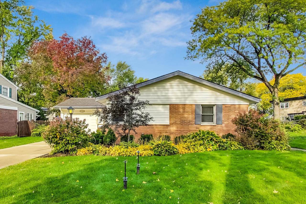 114 Lancaster Street - Photo 1