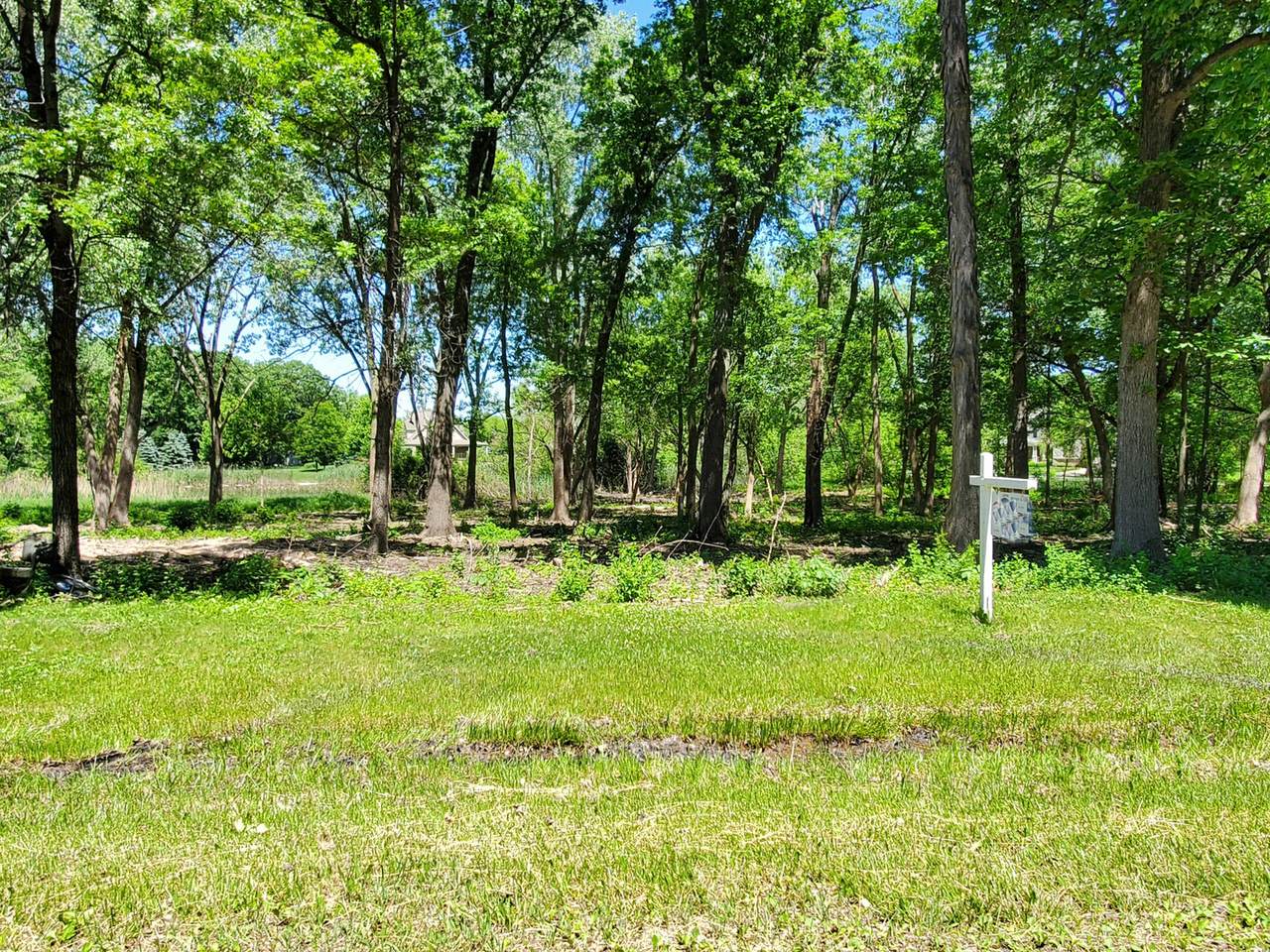 17444 Pin Oak Lane - Photo 1