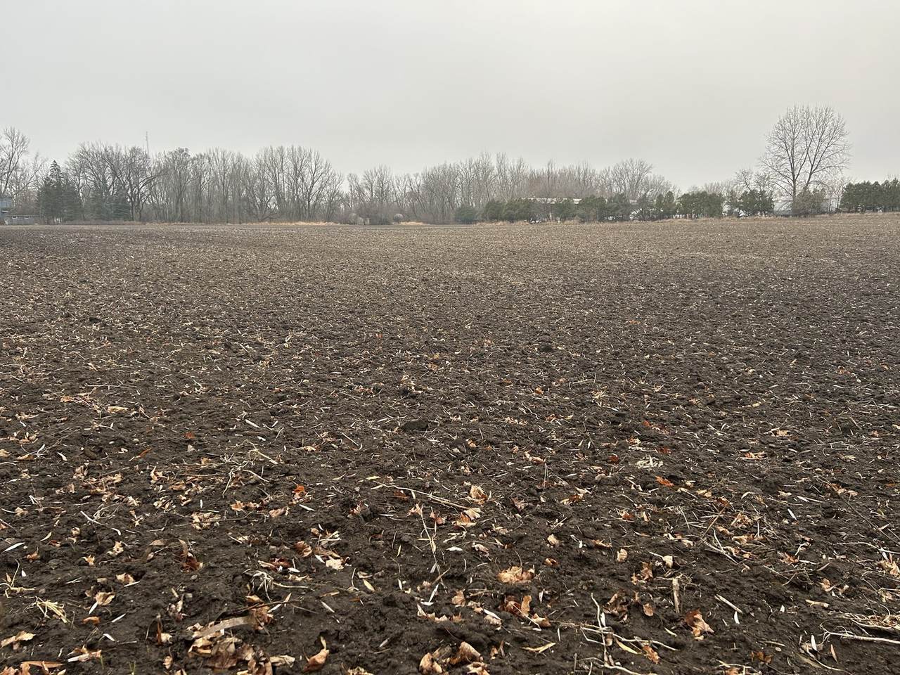 Lot 499001 Galligan Road - Photo 1