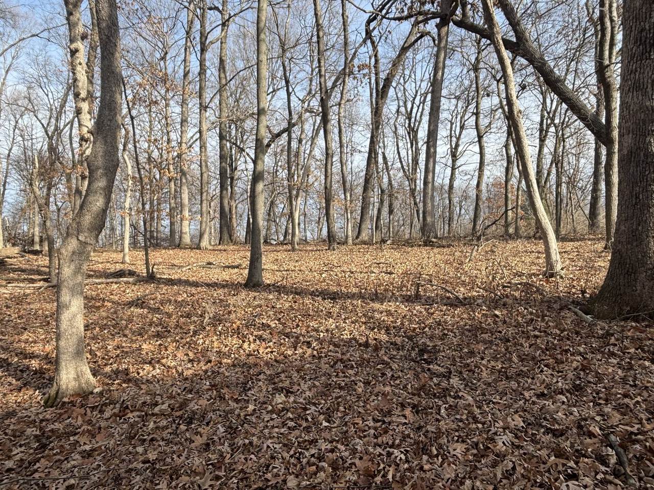 1096/97 Lake Wildwood Drive - Photo 1