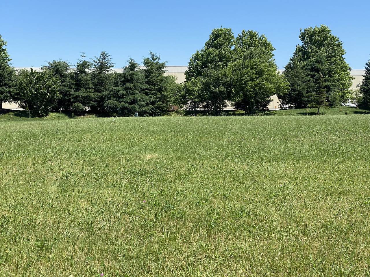 209 Whittemore Drive - Photo 1