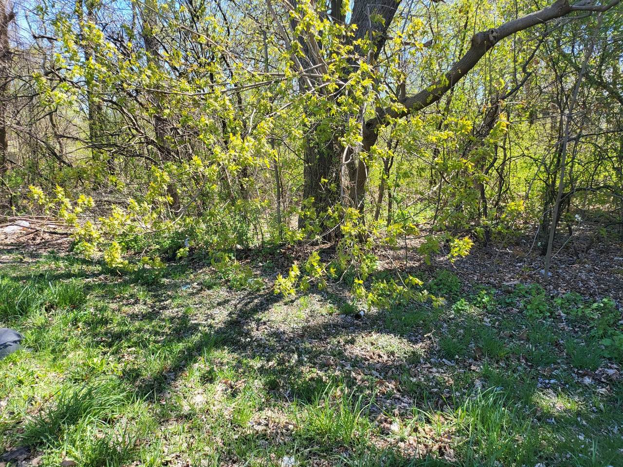1507 York House Road - Photo 1