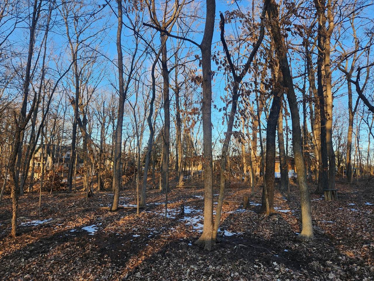 Lot 1102 Jay Court - Photo 1