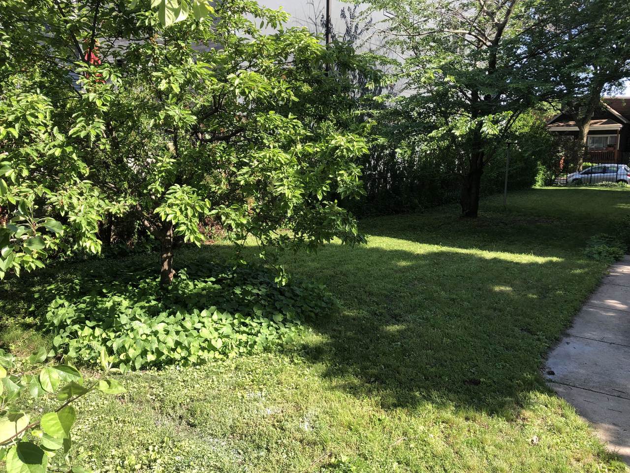 2546 Winona Street - Photo 1