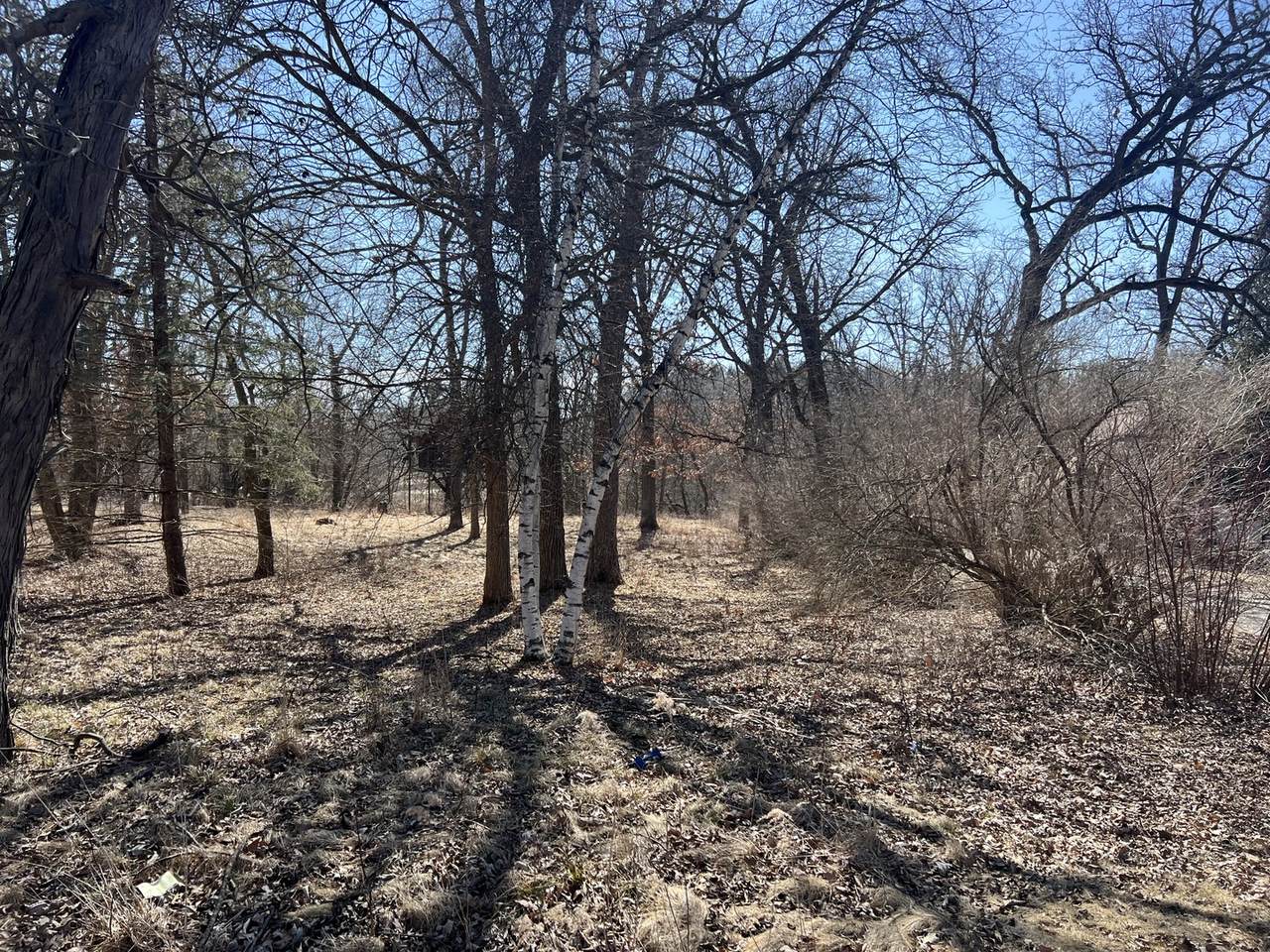 16524 Grove Creek Circle - Photo 1