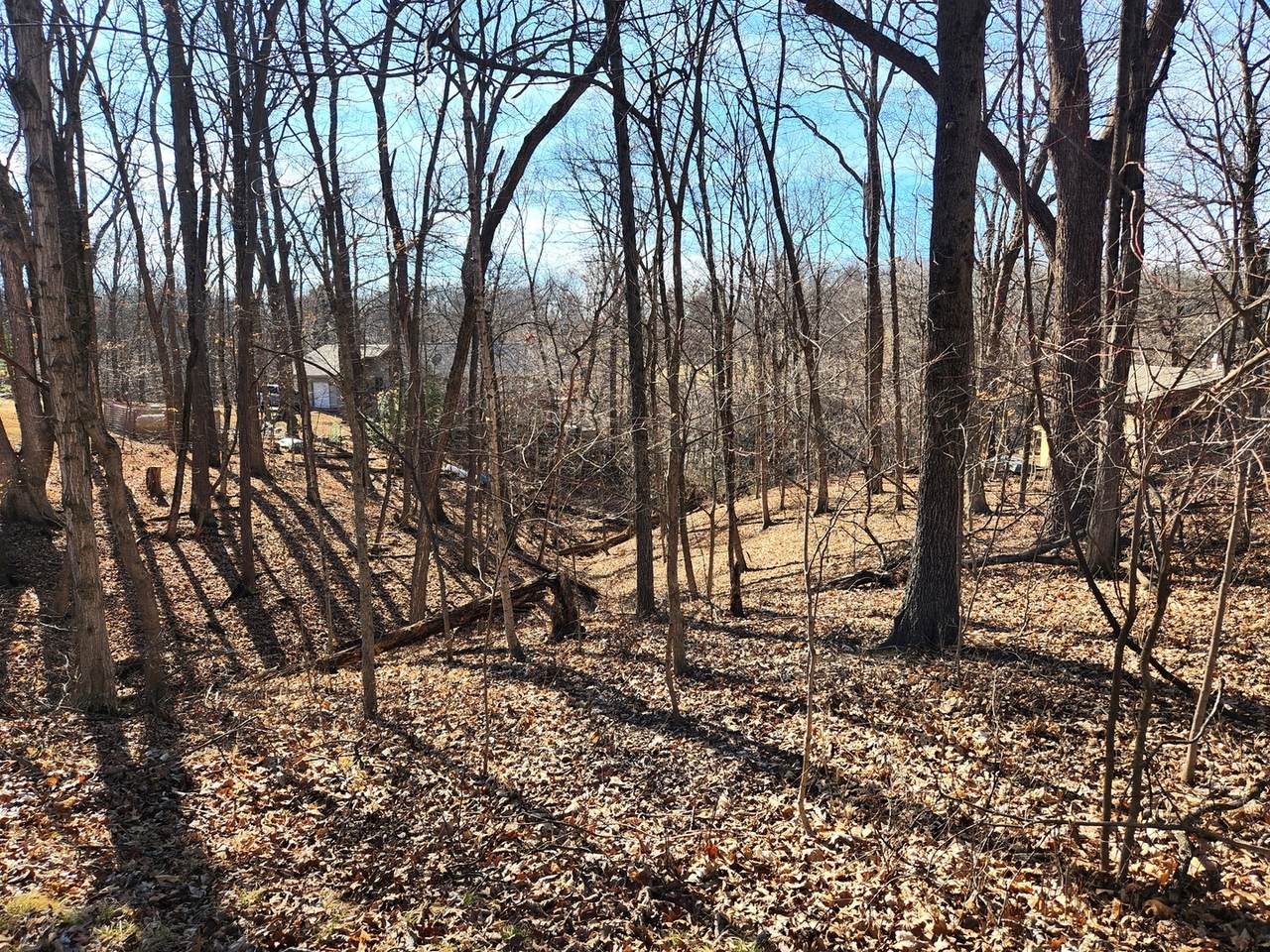 Lot 1673 Lakeside Court - Photo 1