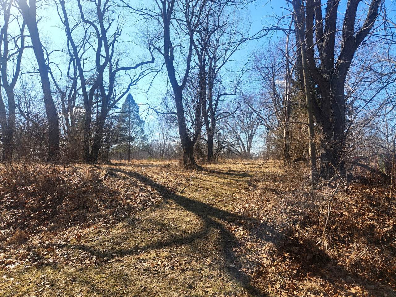 Lot 735 Brookside Drive - Photo 1