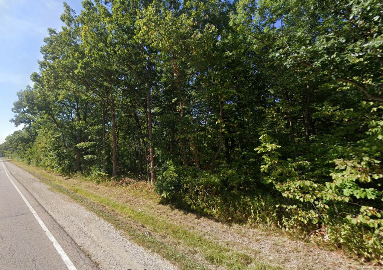 0 Deerfield Road - Photo 1