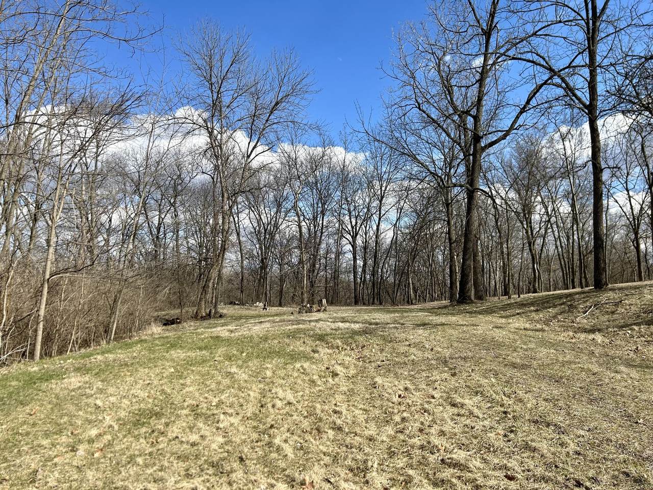Lot 5 Thirty Foot Trail Road - Photo 1