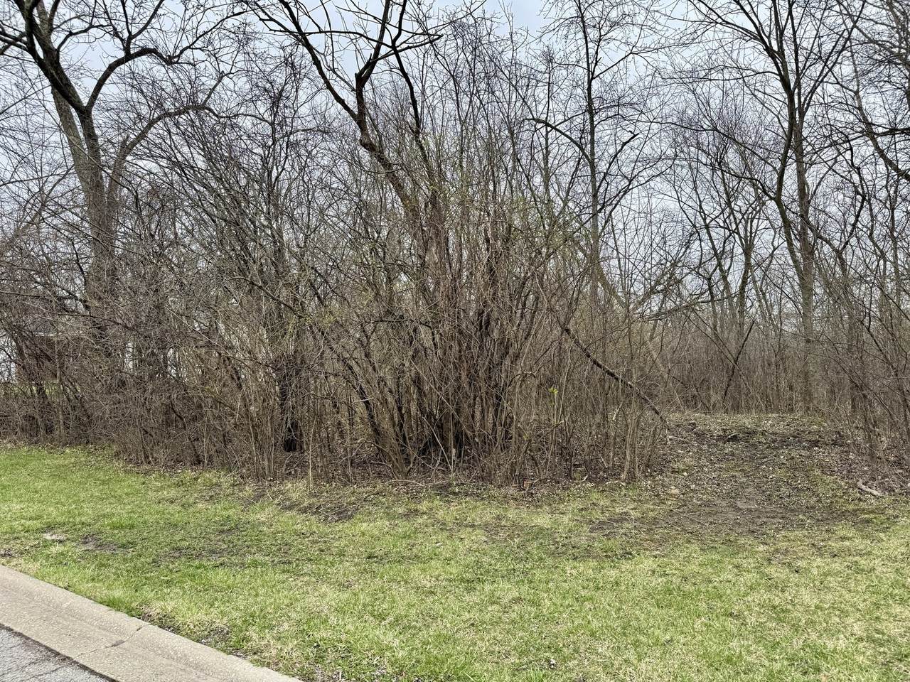 879 Campbell Avenue - Lot 006 - Photo 1