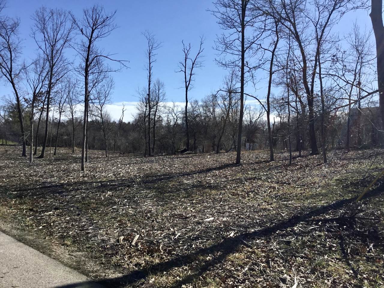 25423 Hill Drive - Photo 1