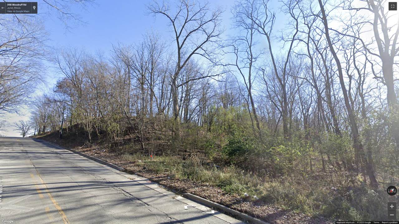 VACANT Woodruff Road - Photo 1