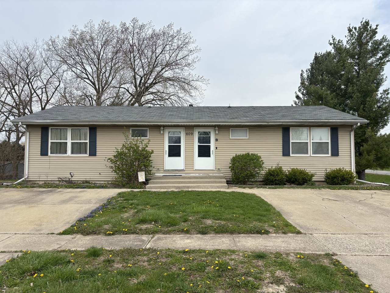 609 Dianne Lane - Photo 1