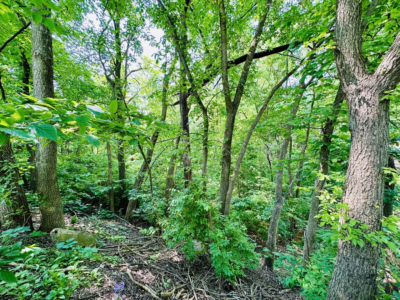 https://bt-photos.global.ssl.fastly.net/mred/1280_boomver_1_12380684-1.jpg