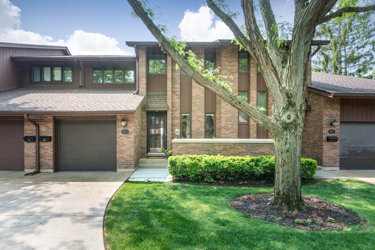 1023 Rene Court - Photo 1