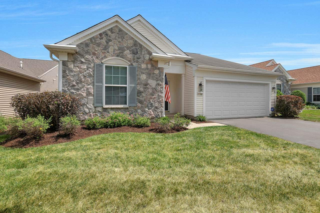 11768 Chatfield Crossing - Photo 1