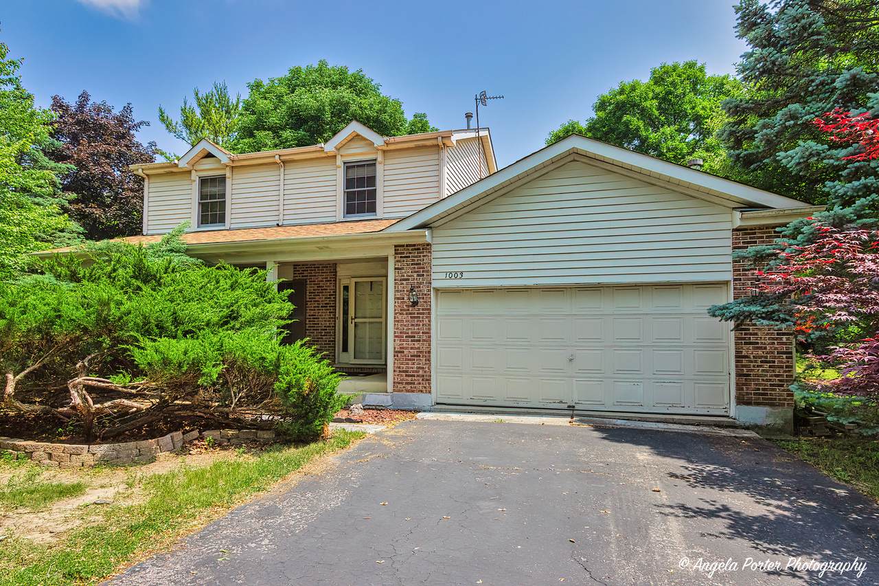 1003 White Pine Drive - Photo 1