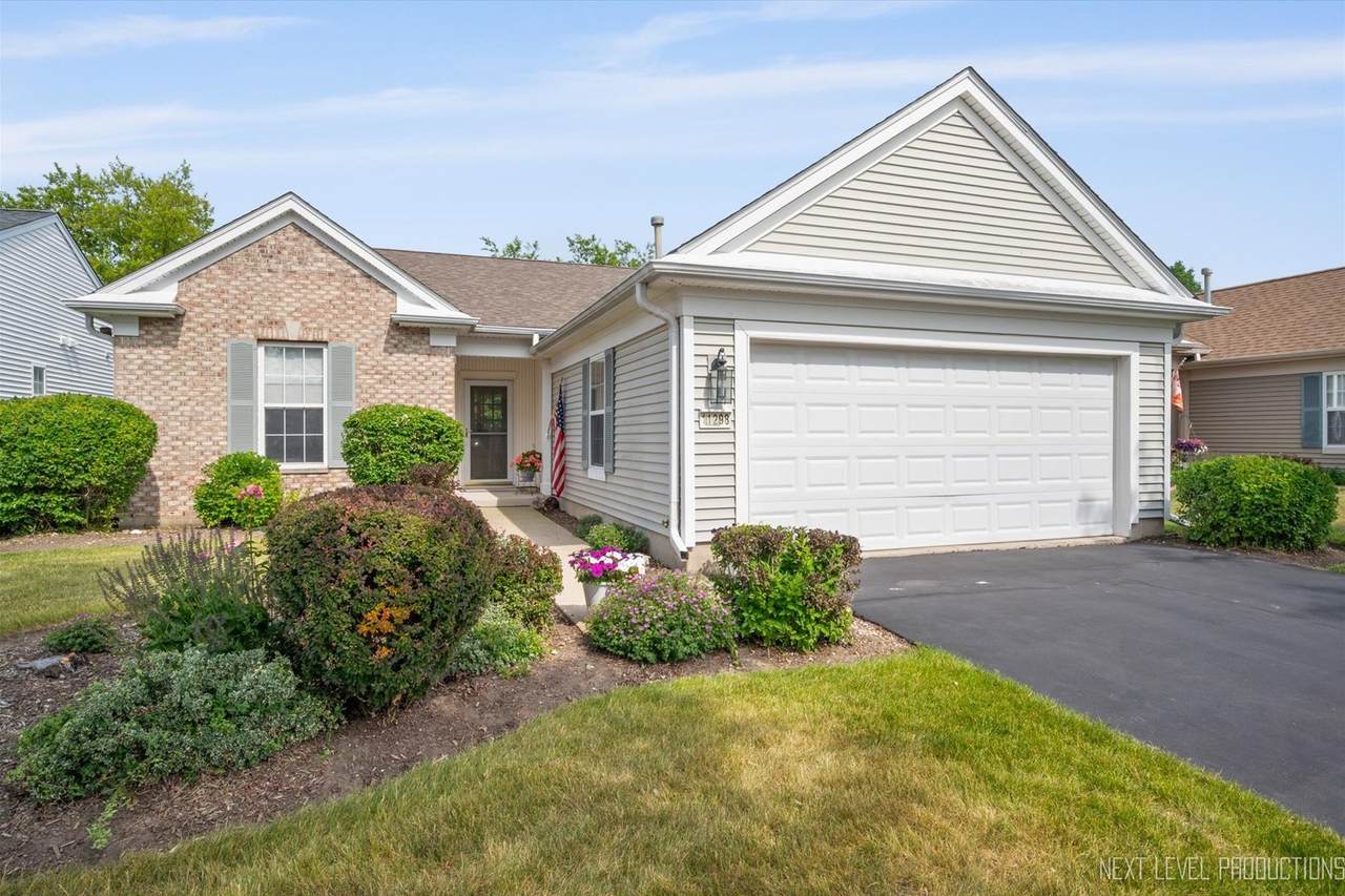 11298 Maplewood Avenue - Photo 1