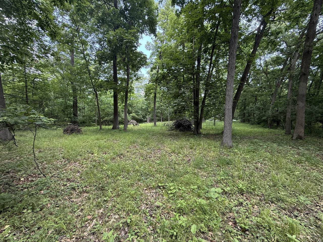 Lot 235 Lake Thunderbird Drive - Photo 1
