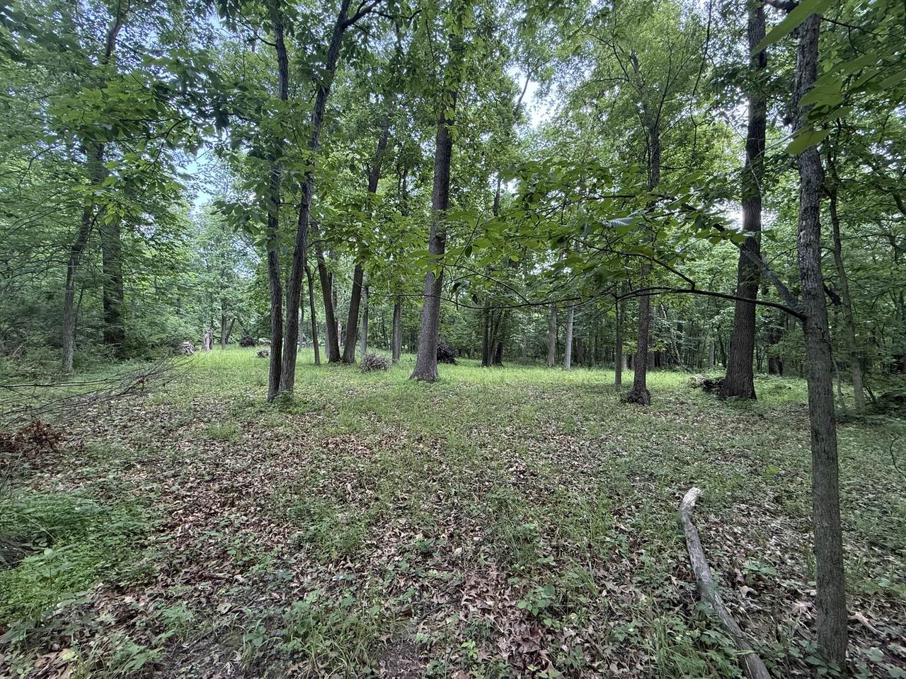 https://bt-photos.global.ssl.fastly.net/mred/1280_boomver_1_12395514-1.jpg