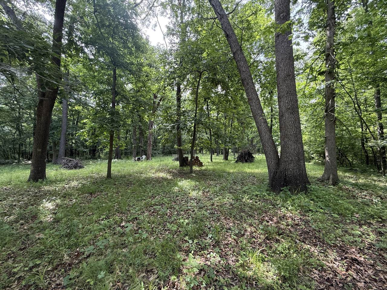 https://bt-photos.global.ssl.fastly.net/mred/1280_boomver_1_12395514-1.jpg