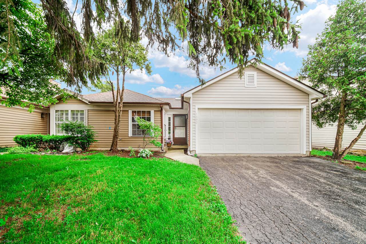 1893 Appaloosa Drive - Photo 1