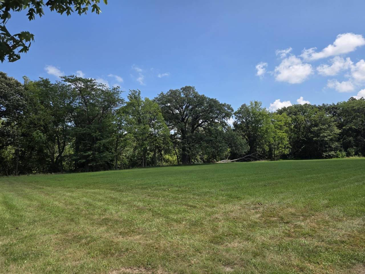 1635 Mockingbird Lane - Photo 1