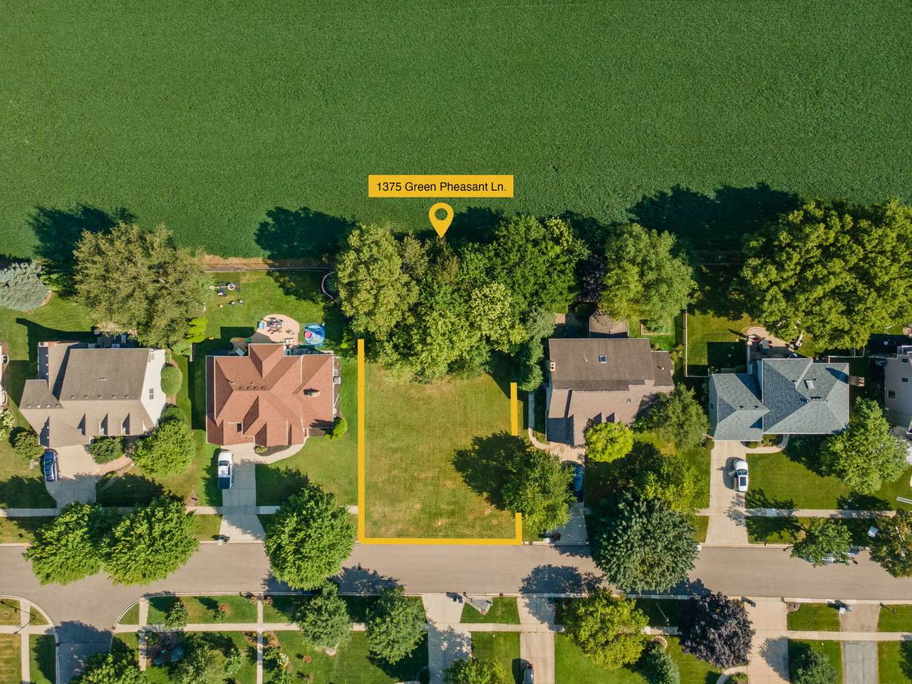 1375 Green Pheasant Lane - Photo 1