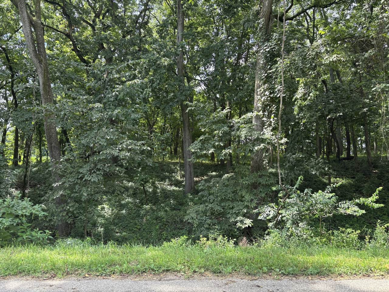 834 Lake Wildwood Drive - Photo 1