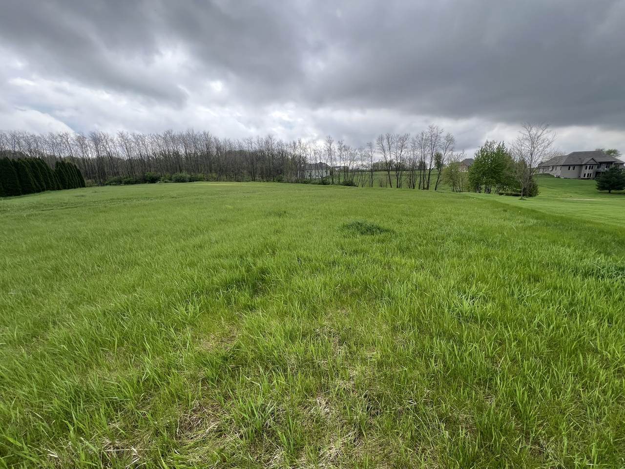 8952 Wilcox Court - Photo 1