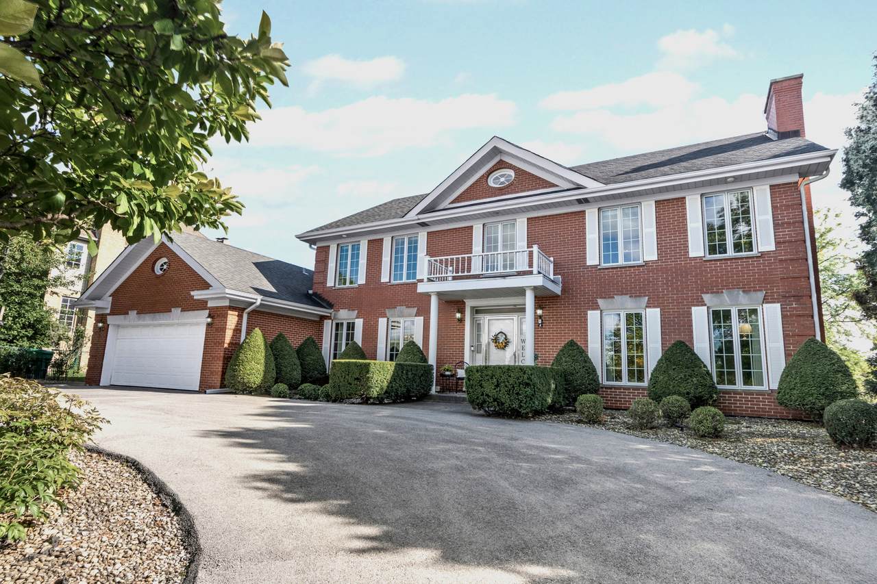 8115 Pluskota Drive - Photo 1