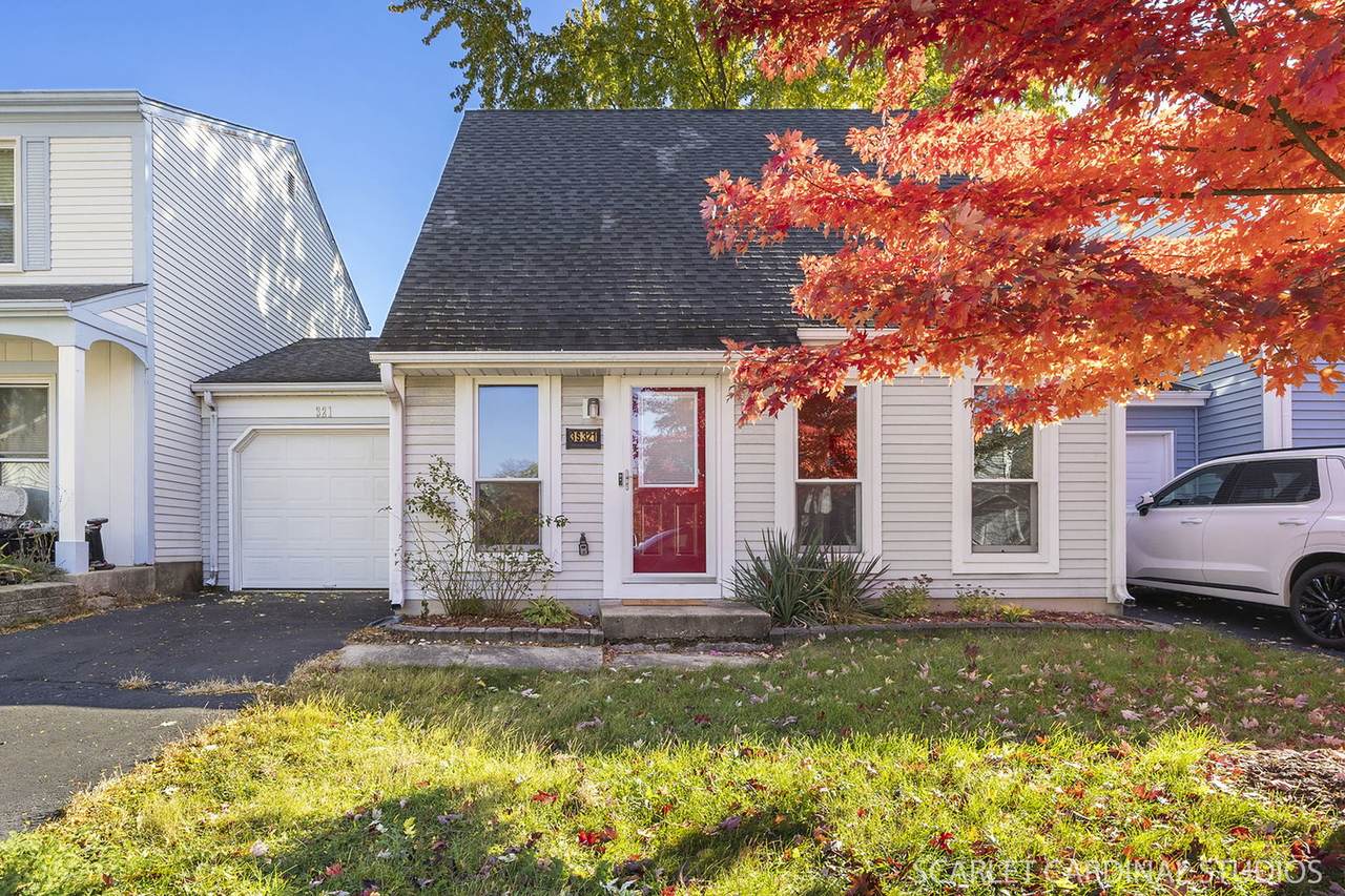 3S321 Blackthorn Lane - Photo 1