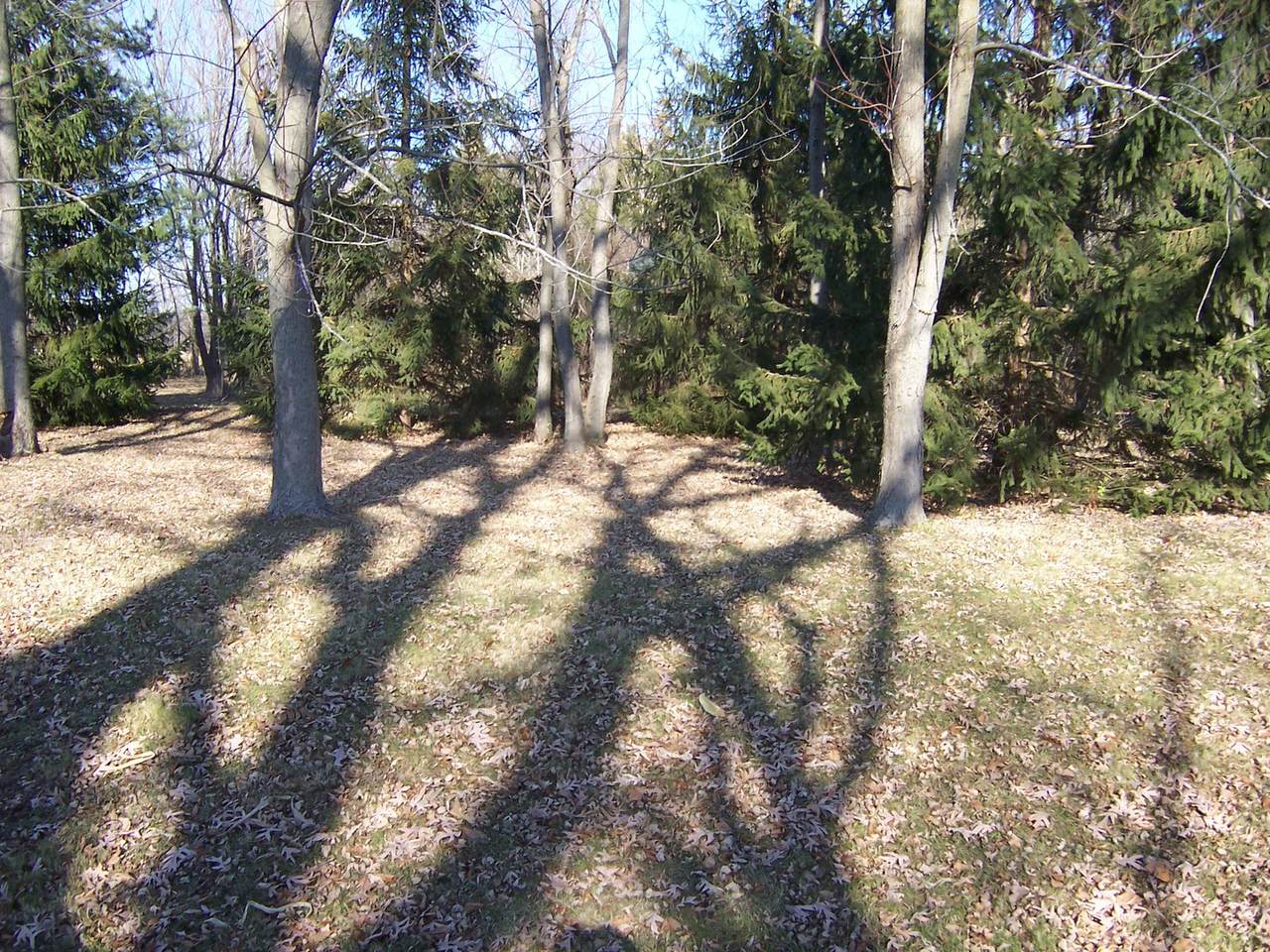 7n938 Route 47 Highway - Photo 1