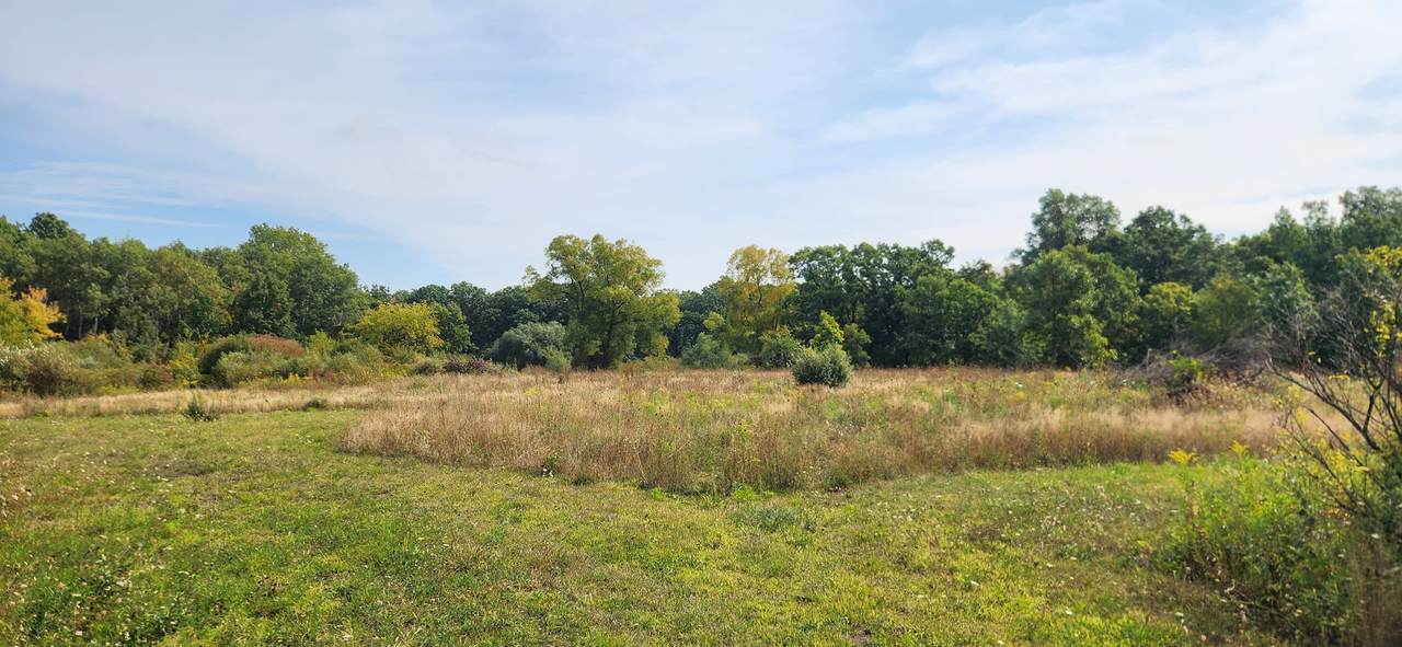 42751 Sheridan Oaks Drive - Photo 1