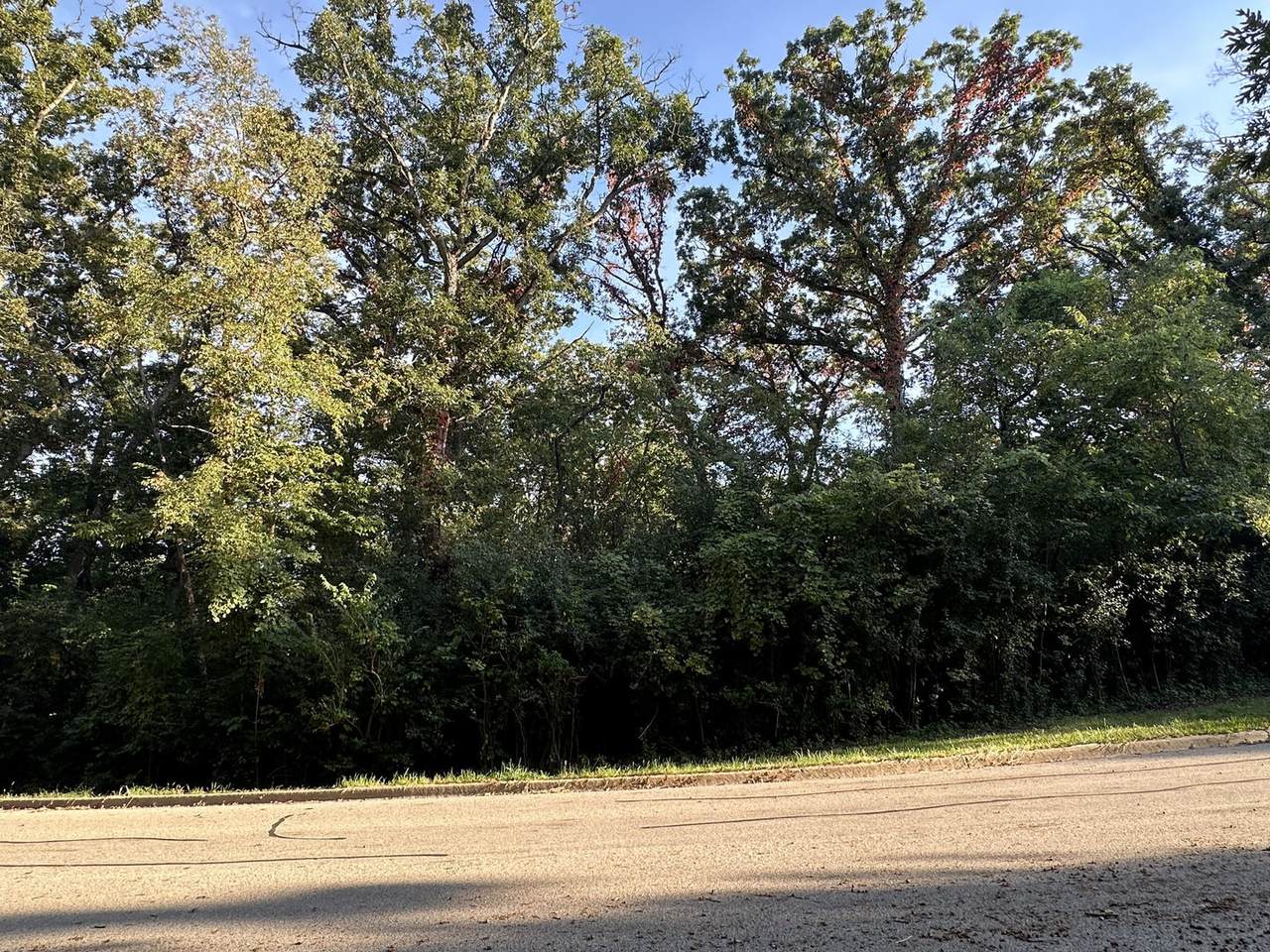 7319 Forest Oak Drive - Photo 1