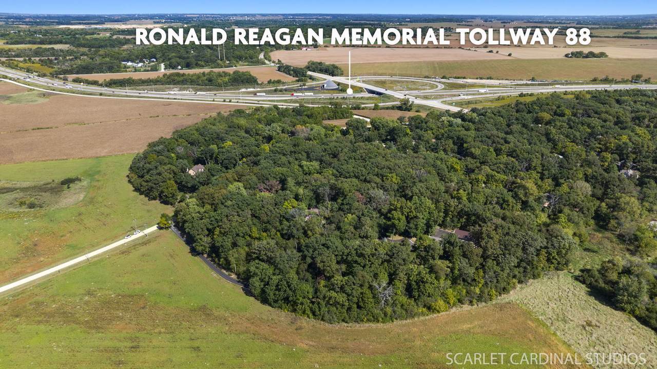 000 Finley Road - Photo 1