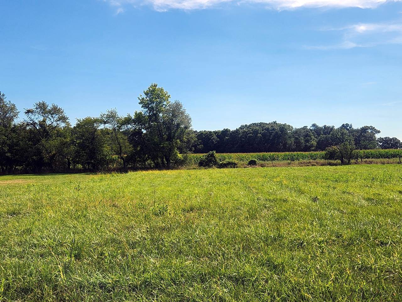 Lot 826 Brookside Drive - Photo 1