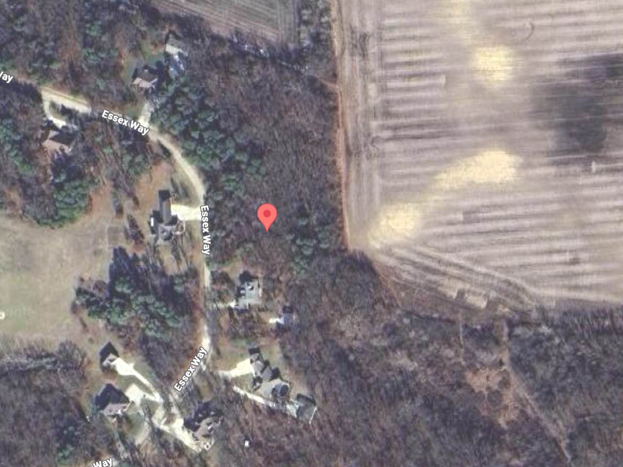 210 Essex Way - Photo 1