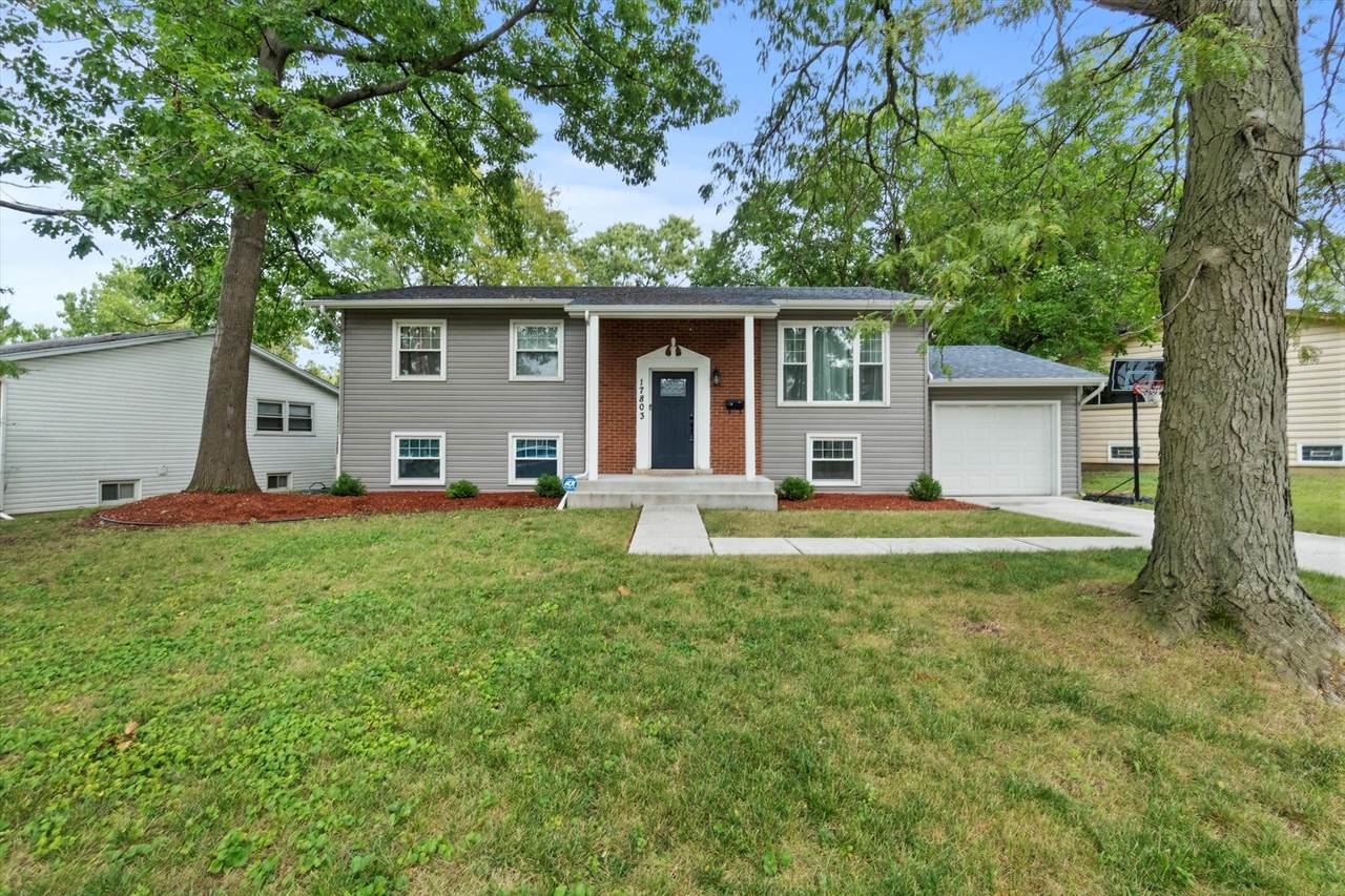 17803 Dogwood Lane - Photo 1