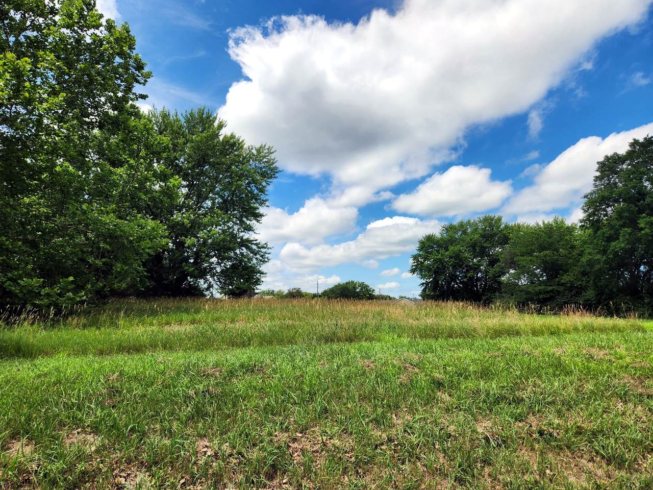 Lot 481 Earl S. Miller Drive - Photo 1