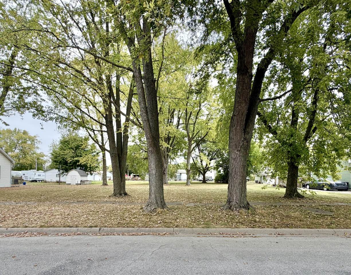 313 Orchard Street - Photo 1