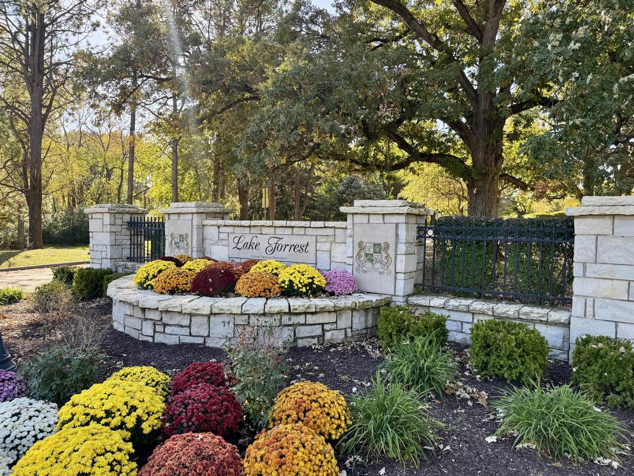 25028 Old Oak Lane - Photo 1