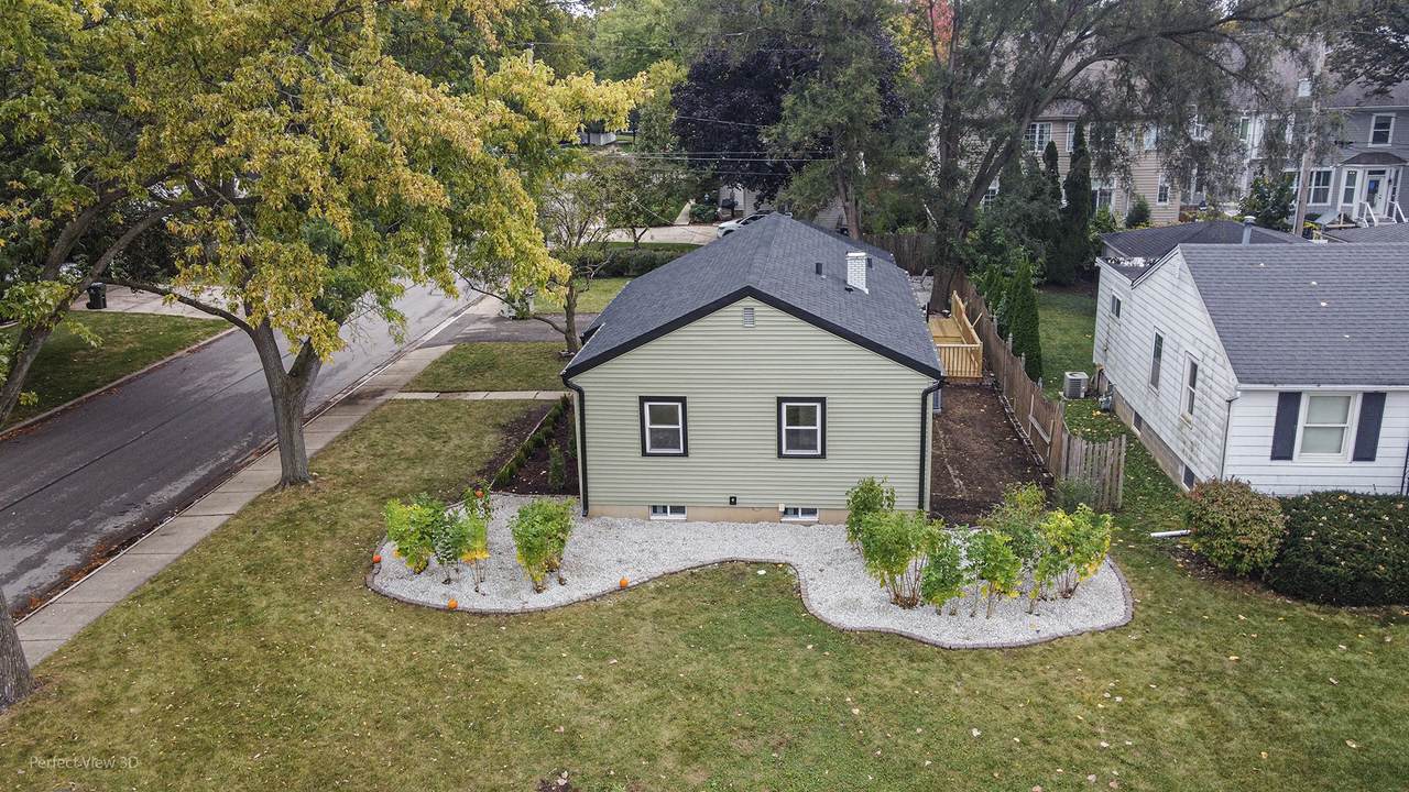 1142 Webster Street - Photo 1