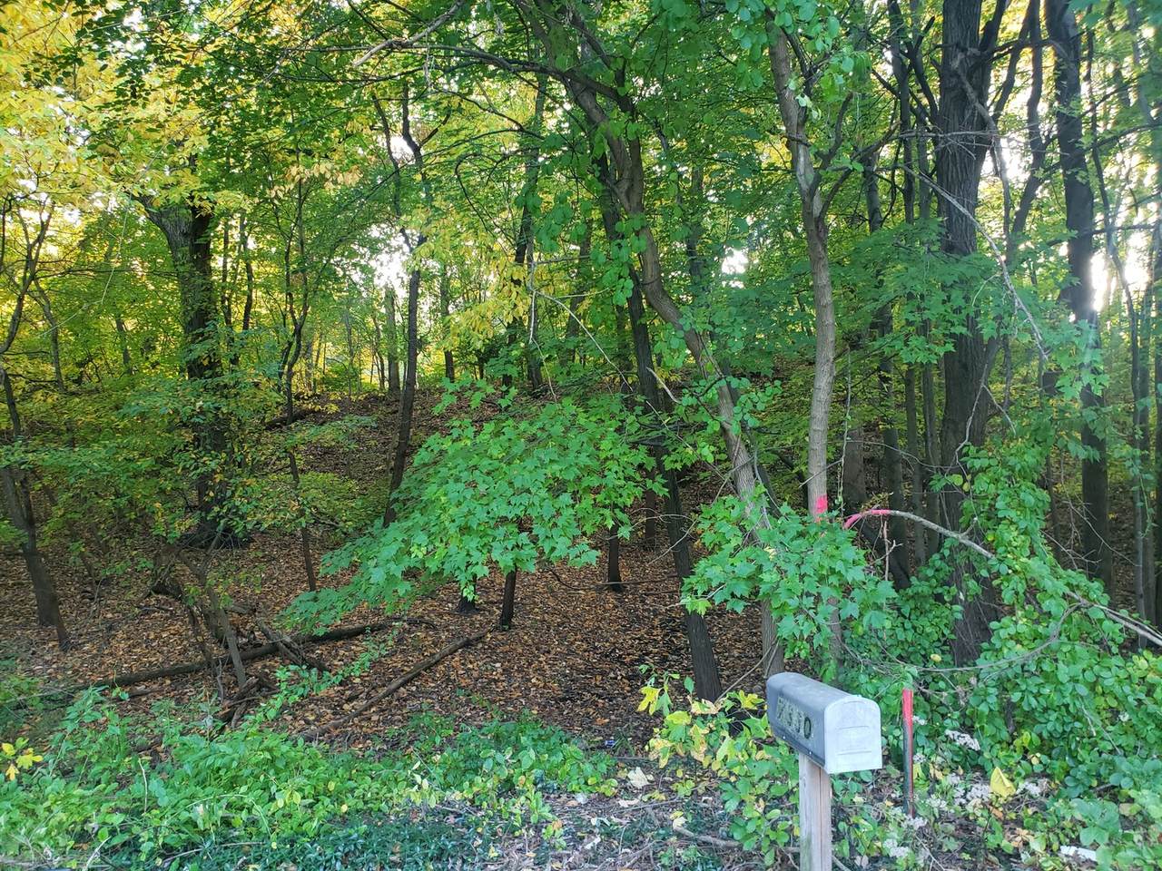 https://bt-photos.global.ssl.fastly.net/mred/1280_boomver_1_12508807-1.jpg