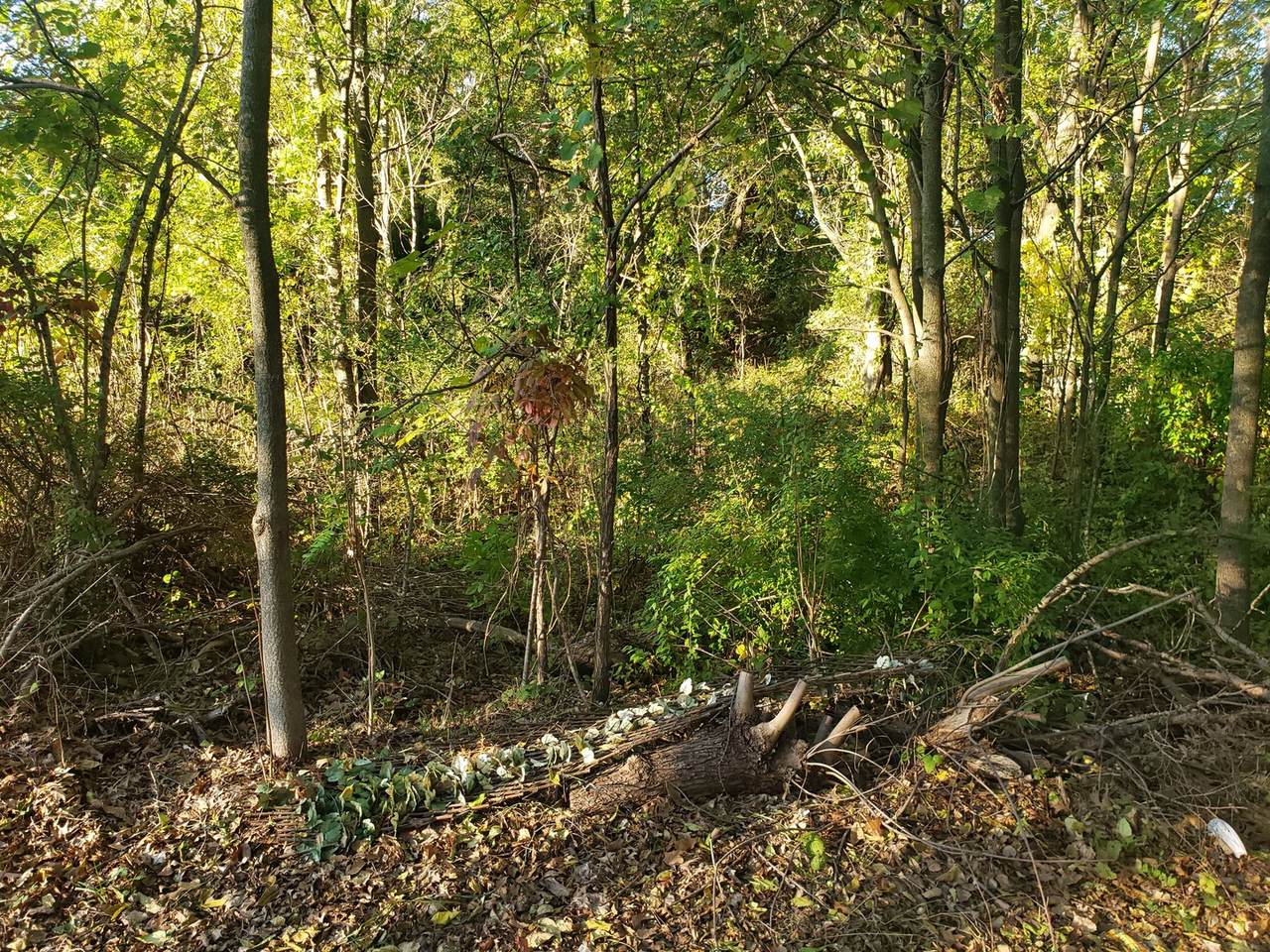https://bt-photos.global.ssl.fastly.net/mred/1280_boomver_1_12508827-1.jpg