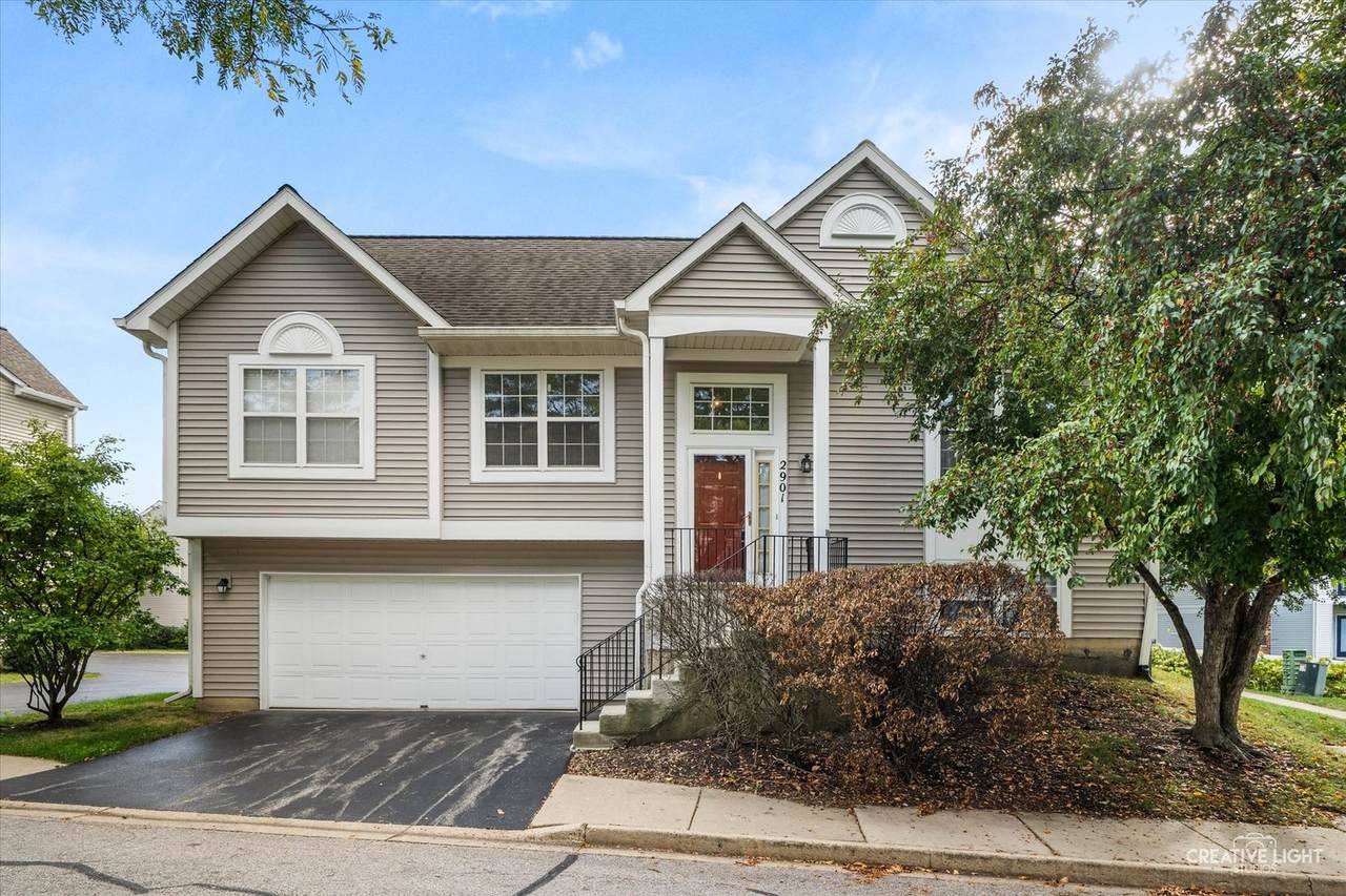 2901 Shelly Lane - Photo 1