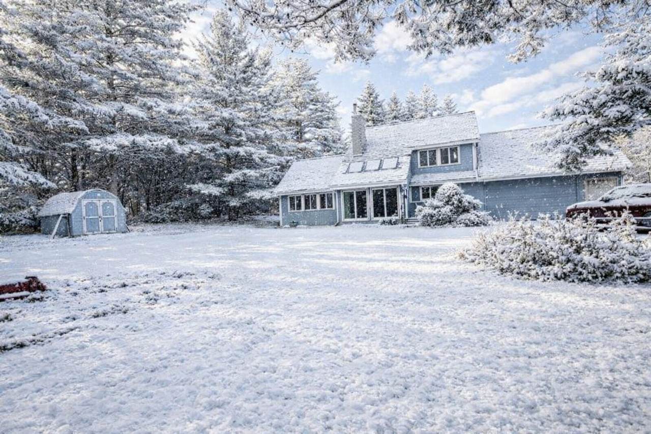 10905 Breezy Lawn Road - Photo 1