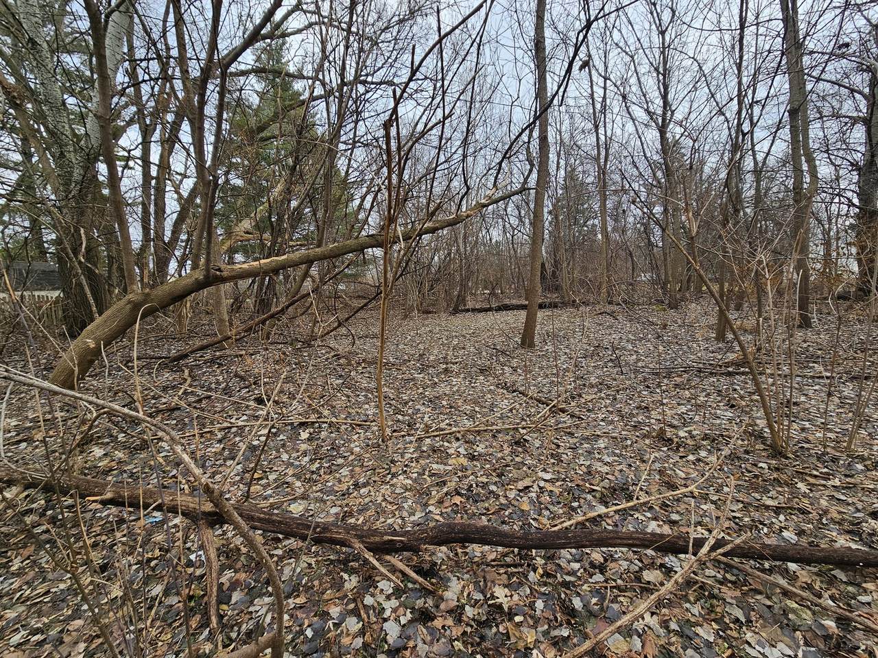 https://bt-photos.global.ssl.fastly.net/mred/1280_boomver_1_12541988-1.jpg